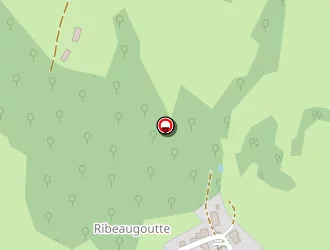 Carte de Garnier Joseph à Lapoutroie