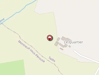 Carte de Renoncules (earl) à Taillis