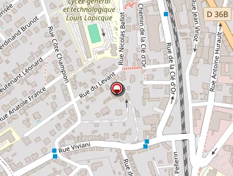 Carte de Thiriat Patrick à Épinal