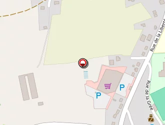 Carte de Rouault Victor à Plémet