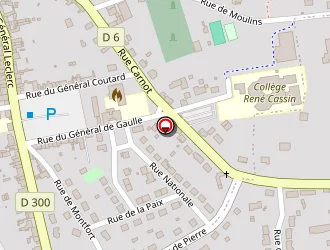 Carte de Champ De Foire à Ballon