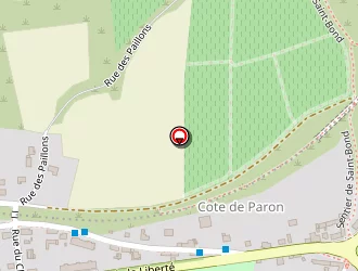 Carte de Milachon Stéphane à Paron