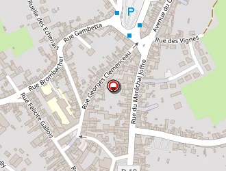 Carte de Campagne En Ville à Bonnétable