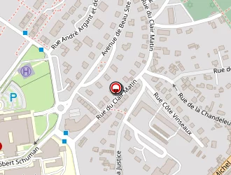 Carte de Bibliothèque Multimédia Intercommunale (bmi) à Épinal