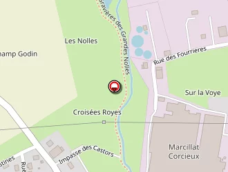 Carte de Hittinger Christophe à Corcieux