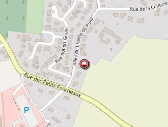 Carte de Berthedis à Ferté-bernard (la)