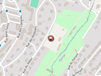 Carte de Gainet Louis à Épinal