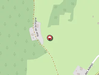 Carte de Etablissement Barbe Ludovic à Anould