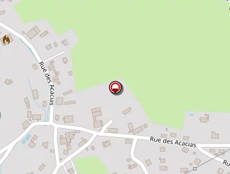 Carte de Arnoux Mickael à Anould