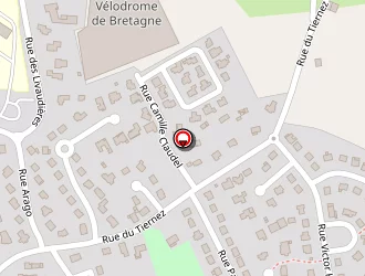 Carte de Taxi Loïc Galerne à Loudéac