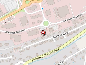 Carte de Georgel Dominique à Épinal