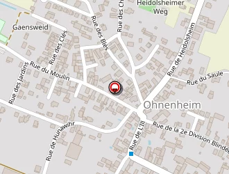 Carte de Ott Edmond à Ohnenheim