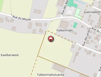 Carte de Hamila Kaies à Ohnenheim