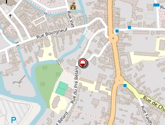 Carte de Raicu Anisoara à Ferté-bernard (la)