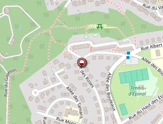 Carte de Cepel Seyfettin à Épinal