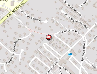 Carte de Zimmermann Edith à Golbey