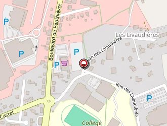 Carte de Coordination Ingenierie Prevention à Loudéac