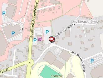 Carte de Lannou Yannick à Loudéac