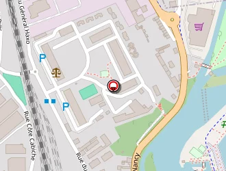 Carte de Ambulances Arnould Bourbon à Épinal