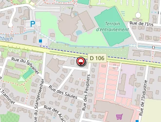 Carte de Garage Bp Auto à Ribeauvillé