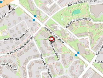 Carte de Thockler Stéphane à Épinal