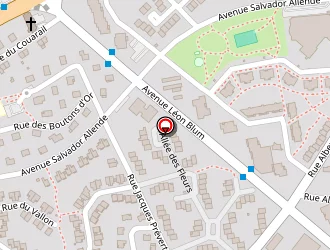 Carte de Acmé Rudao à Épinal