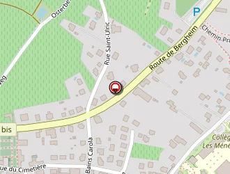 Carte de Nadelhoffer Fleurs à Ribeauvillé