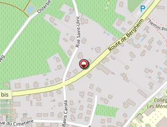 Carte de Lienard Nadine à Ribeauvillé