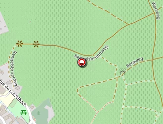 Carte de Binder Jean-philippe à Ribeauvillé