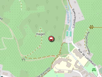 Carte de Schneider Thierry (earl) à Ribeauvillé