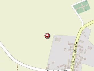 Carte de Viezzi Edouard à Bougligny