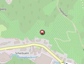 Carte de Schlumberger Eric à Ribeauvillé