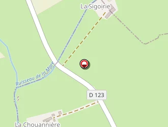 Carte de Pichereau Store à Ballon