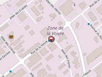 Carte de Infa à Épinal