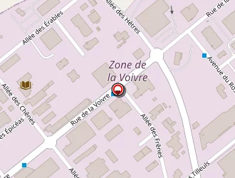 Carte de Yesss (cef Comptoir Electrique Français) à Épinal