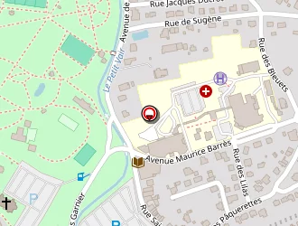 Carte de Morizot Denis à Vittel