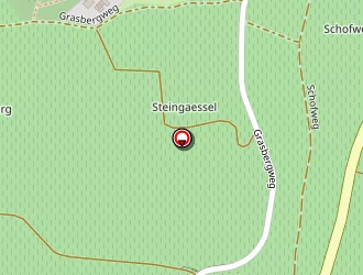 Carte de Dintzer Marcelline à Bergheim