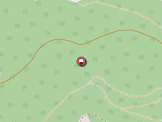 Carte de Deloy Alain à Bruyères