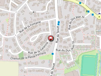 Carte de Lejolivet Marc à Mézière (la)