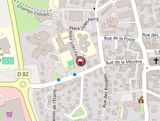 Carte de Cayrou Camille à Melesse