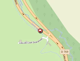 Carte de Le Goff Jean à Saint-hernin