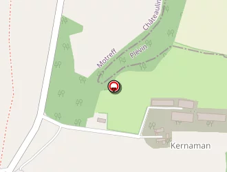 Carte de Calmejane Paule Et Eric à Motreff