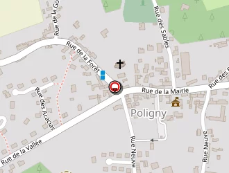 Carte de Chamault Jacques à Poligny