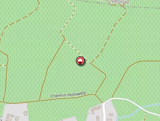 Carte de Pucci Olivia à Rodern