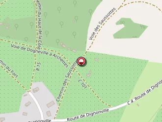 Carte de Everblue à Dogneville