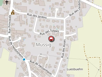 Carte de Schneider Jean Luc à Mussig