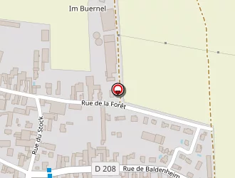 Carte de Baumann Lionel à Mussig