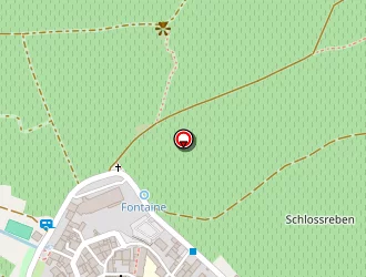 Carte de Au Rouge De Saint Hippolyte à Saint-hippolyte