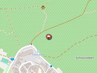 Carte de Daub Eric à Saint-hippolyte