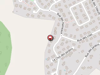 Carte de Mephon Charles à Chavelot